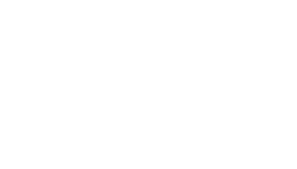 Before: suitcases in the aisle